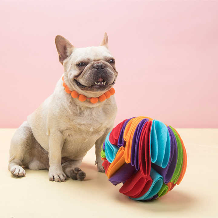 Dog snuffle ball