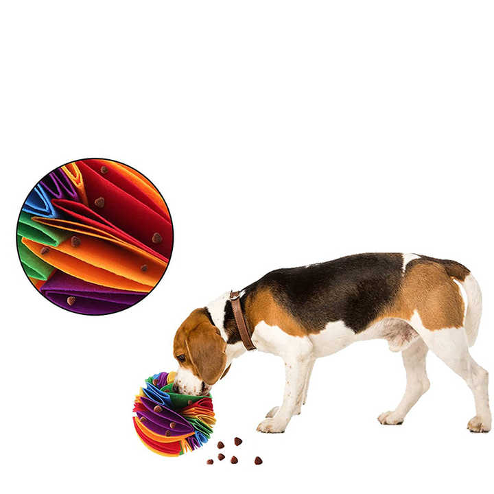 Dog snuffle ball