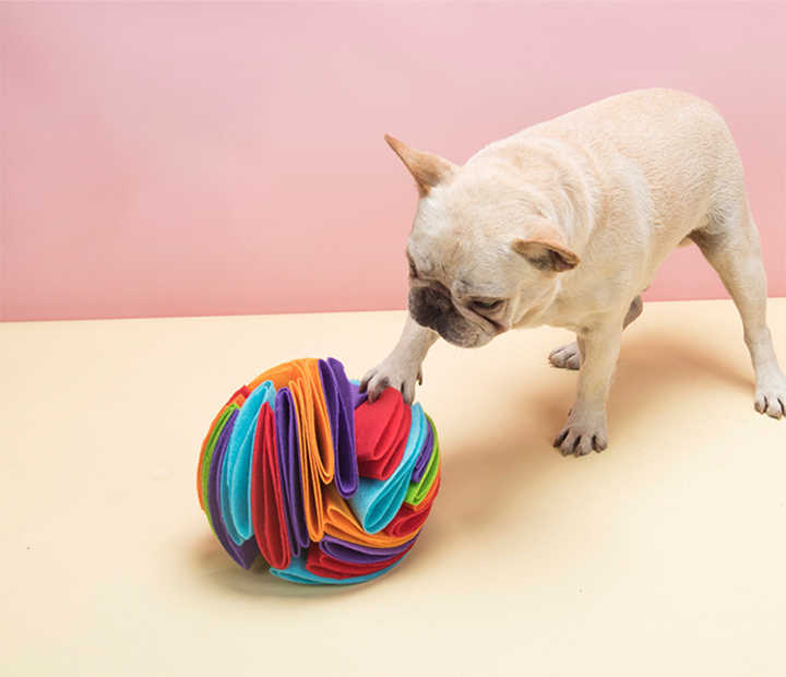 Dog snuffle ball