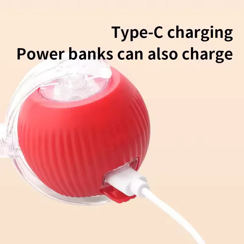 Training Auto Rolling Ball