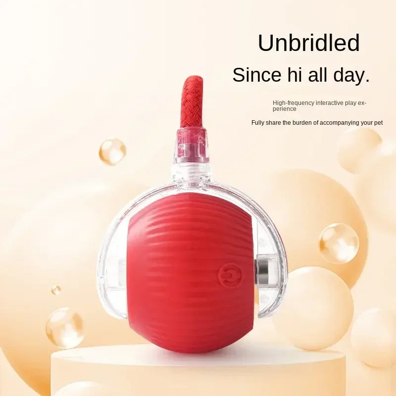 Training Auto Rolling Ball