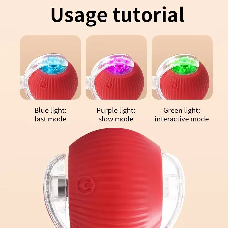 Training Auto Rolling Ball