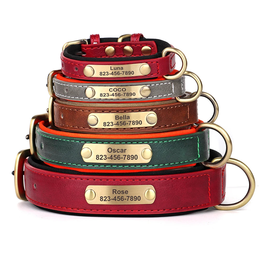 Leather Dog Collar
